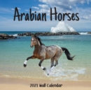 Image for Arabian Horses 2021 Wall Calendar