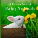 Image for A Picture Book of Baby Animals