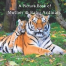 Image for A Picture Book of Mother &amp; Baby Animals