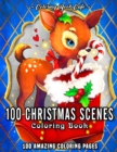 Image for 100 Christmas Scenes