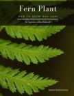 Image for Fern Plant : How to grow and care