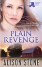 Image for Plain Revenge : An Amish Romantic Suspense Novel