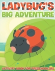 Image for Ladybug&#39;s Big Adventure : Activity Book For Preschoolers