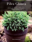 Image for Pilea Glauca : How to grow and care