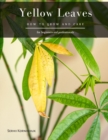 Image for Yellow Leaves : How to grow and care