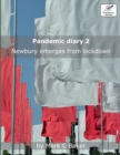 Image for Pandemic diary 2