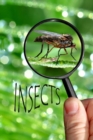 Image for Insects : Insects brought to life for small children.