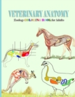 Image for Veterinary Anatomy, zoology coloring book for adults