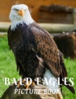 Image for Bald Eagles Picture Book : A Gift Book for Alzheimer&#39;s Patients, Seniors with Dementia (Picture Books) Bird Watchers, Bird Lovers, for kids and children, Birds of Prey Predator birds Rapture
