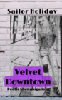 Image for Velvet Downtown