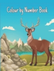 Image for Colour by Number Book