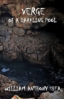 Image for Verge of a Darkling Pool