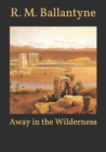 Image for Away in the Wilderness