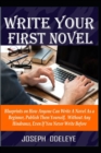 Image for Write Your First Novel : Blueprints on How Anyone Can Become a Successful Novel Writer, Without Any Hindrance, Even If You Never Write One Before