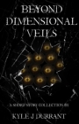 Image for Beyond Dimensional Veils