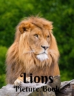 Image for Lions Picture Book : Picture Book for Alzheimer&#39;s Patients and Seniors with Dementia (Gift Book) Giant Cat Predator Animal Safari Feline Gifts with Lion for Adults Men Women Kids Photo Book of Lions