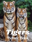 Image for Tigers Picture Book