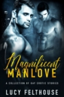 Image for Magnificent Manlove : A Collection of Gay Erotic Stories