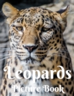 Image for Leopards Picture Book : Picture Book for Alzheimer&#39;s Patients and Seniors with Dementia (Gift Book) Giant Cat Predator Animal Safari Feline Gifts with Leopard for Adults Men Women Kids Photo Book of L