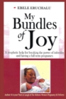 Image for My Bundles of Joy : A prophetic help for breaking the power of infertility and having a full term pregnancy.