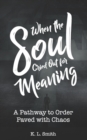 Image for When the Soul Cried Out for Meaning : A Pathway to Order Paved with Chaos
