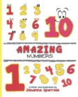 Image for Amazing Numbers