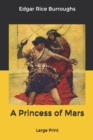 Image for A Princess of Mars : Large Print