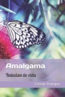 Image for Amalgama : (Spa &amp; Cat Edition)