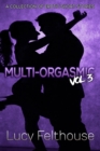 Image for Multi-Orgasmic Vol 3 : A Collection of Erotic Short Stories : 3