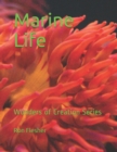 Image for Marine Life : Wonders of Creation Series
