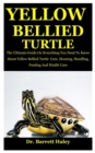 Image for Yellow Bellied Turtle