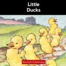 Image for Little Ducks