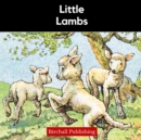 Image for Little Lambs