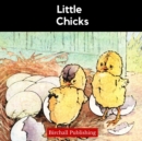 Image for Little Chicks