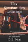 Image for The Sin Paradox : Amicus Brief