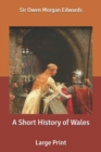 Image for A Short History of Wales : Large Print