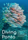 Image for Diving Ponta