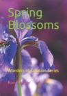 Image for Spring Blossoms