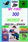 Image for My First 300 Words in English and Spanish. : Let&#39;s Get Talking! (My First Book with Colored Images), English Edition