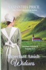 Image for Expectant Amish Widows 3 Books-in-1 (Volume4) The Middle-Aged Amish Widow