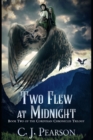 Image for Two Flew at Midnight