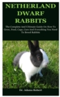 Image for Netherland Dwarf Rabbits