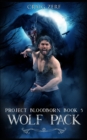Image for Project Bloodborn - Book 5