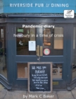 Image for Pandemic diary : Newbury in a time of crisis
