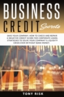 Image for Business Credit Secrets : Save Your Company. How to Check and Repair a Negative Credit Score for Corporate Loans. Strategies To Solve Your Company&#39;s Liquidity Crisis Even Without Bank Money