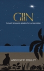 Image for Giin : The Last Remaining Genie in the Human World