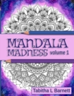 Image for Mandala Madness volume 1