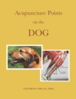 Image for Acupuncture Points on the Dog
