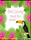 Image for Bird coloring book for adult