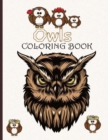 Image for Owls coloring book